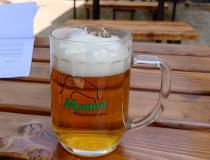 pivo Mamut 10°