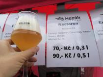 pivo Modern IPA Nectaron 14°