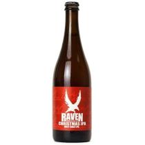 pivo Raven Christmas IPA
