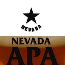 pivo Nevada Ale 11°