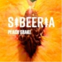 pivo Sibeeria Peach Shake 11°