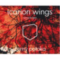 pivo Icarion Wings 10°