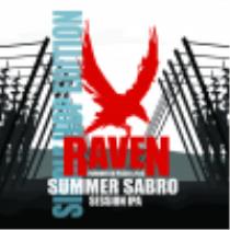 pivo Raven Summer Sabro 11°