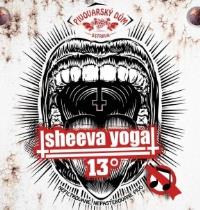pivo Qásek Sheeva Yoga IPL 13°